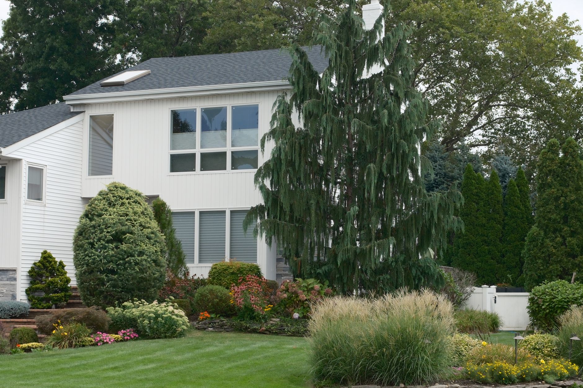 Mediterranean Landscaping Ideas for a Small Front Yard Without a Lawn