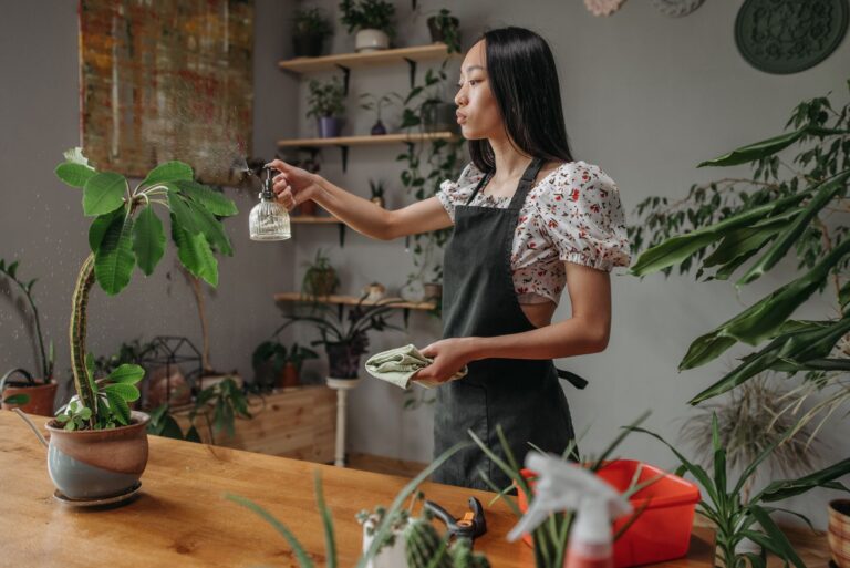 Mediterranean Indoor Plants for Sunny Rooms: Terracotta, Herbs, and Sculptural Greenery